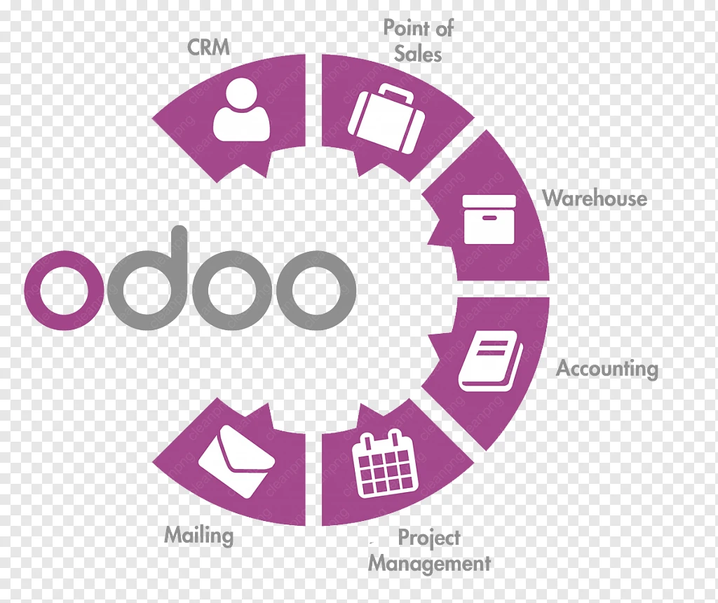 Odoo ERP Partner